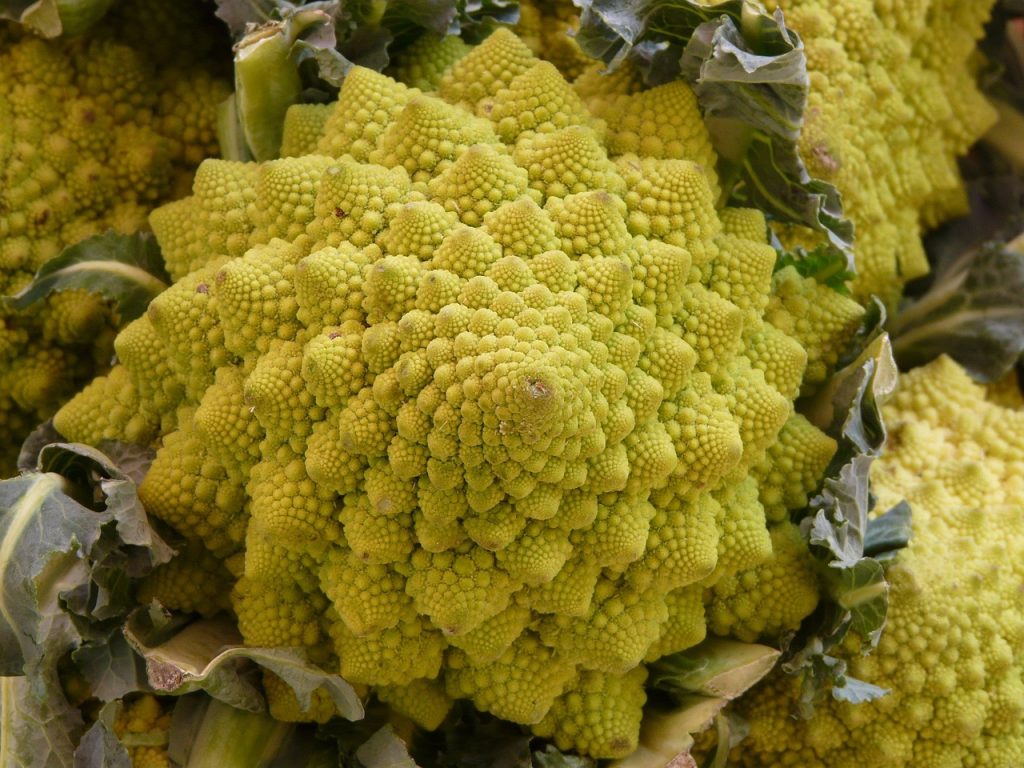 Kapusta romanesco: izotiocyjaniany wspomagające detoksykację i witamina C